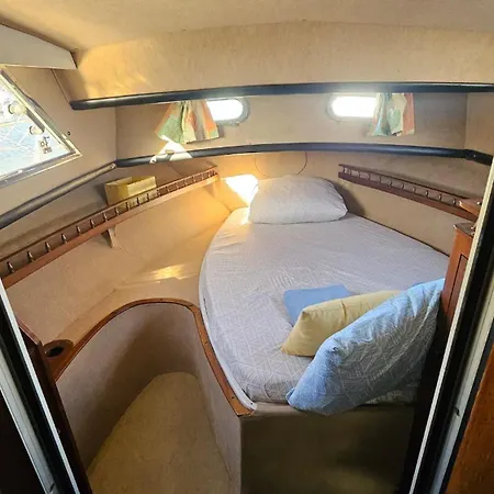 Boat Speedboat G44 Botel